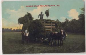 Haying near Philadelphia PA