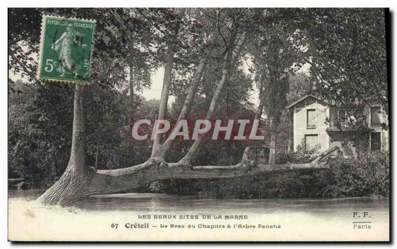 Old Postcard Tree Creteil The arm of the chapter & # 39arbre Bend