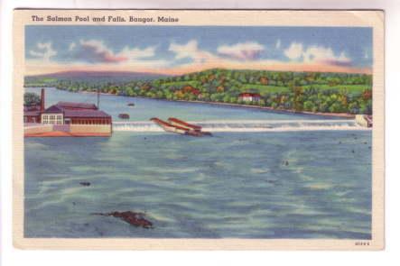 Salmon Pool and Falls, Bangor, Maine, Used 1954