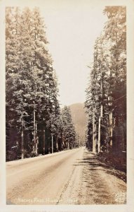 NACHES PASS HIGHWAY WASHINGTON~ELLIS #435 REAL PHOTO POSTCARD