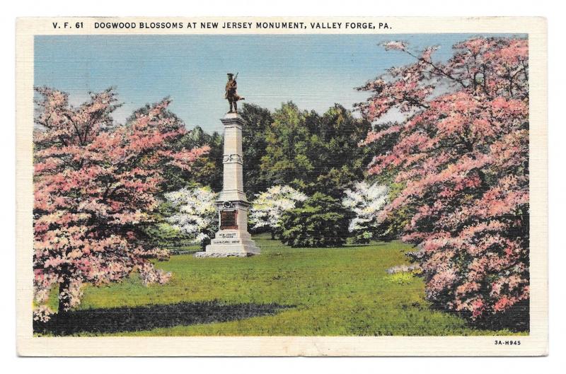 PA Valley Forge National Park New Jersey Monument Dogwoods Vintage 1938 Postcard