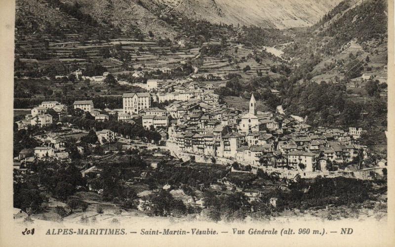 CPA Alpes-Maritimes - Saint-Martin-Vésubie - Vue générale (110983)