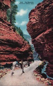 Vintage Postcard 1916 The Narrows Roadway Carriage Williams Canon Colorado CO