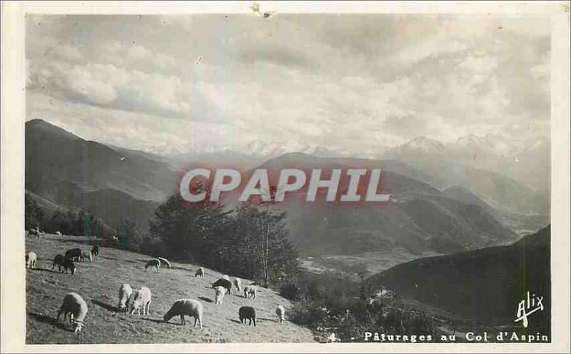 'Postcard Modern Col d''Aspin'