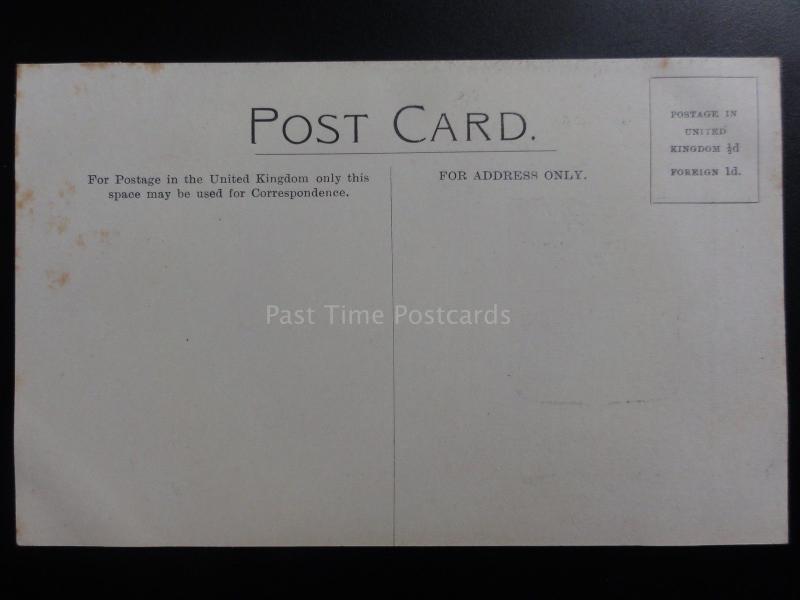 Berkshire: WINDSOR - Heraldic Coat of Arms, Old Postcard Pub By Robert Brodie