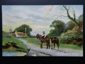 Rural Life - The Day's Work Done PLOUGHING Shire Horses HARROWING c1911 Postcard