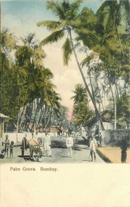 India Bombay Palm Grove C-1910 Postcard 22-1480