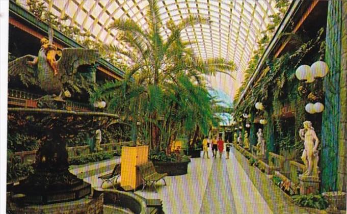 Florida Clearwater Kapok Tree Inn Entrance Mall 1972