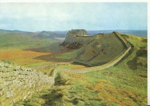 Northumberland Postcard - Roman Wall at Cuddy's Crag - Ref TZ8340