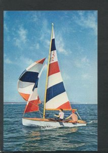 Boating Postcard - Hornet Class, Small Sailing Boat    RR6490