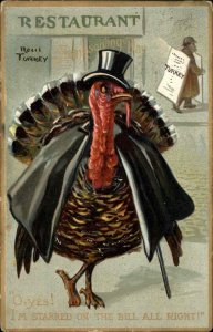 Tuck Comic Thanksgiving Fancy Turkey in Opera Cape c1910 Vintage Postcard