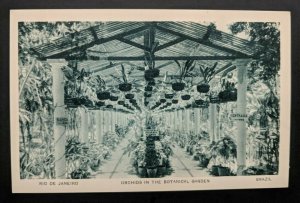 Mint Vintage Rio De Janeiro Brazil Botanical Garden Real Picture Postcard