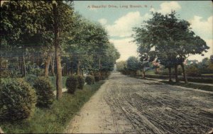 Long Branch NJ Beautiful Drive c1910 Postcard