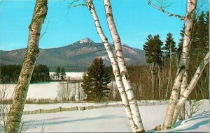 Mt Chocorua New Hampshire NH Winter Scene Snow White Birch Tree Postcard VTG UNP 