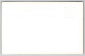 Olympia Washington State Capitol RPPC Real Photo Postcard E35