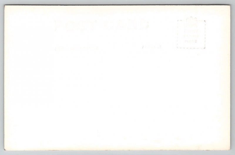 Olympia Washington State Capitol RPPC Real Photo Postcard E35