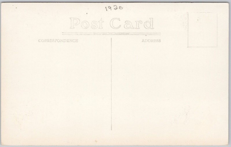 Acadian Willows Grand Pre NS Nova Scotia Trees Unused RPPC Postcard H65
