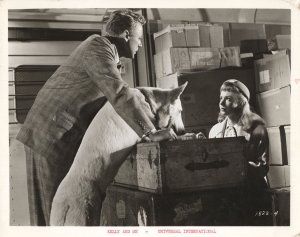 Kelly & Me Film Piper Laurie Van Johnson Performing Dog Movie Large 10x8 Vint...