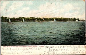 Connecticut Bridgeport Sea Side Park From Water 1906