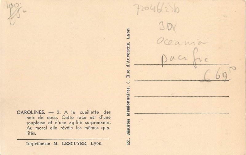 Oceania Caroline Islands native picking coconuts