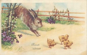 Easter 1943 greetings postcard Hungary drawn rabbit & chicken 