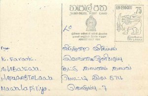 Entier Postal Stationery Postal Sri Lanka Ceylon Lion