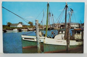 Ocean City Commercial Fishing Boats and Docks Postcard N2