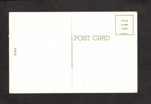 Skunks Aroma Smells Like Gardenia Humor Comic Postcard