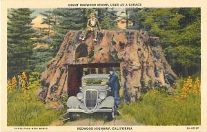 Redwood Stump Used as a Garage Redwood Highway California CA