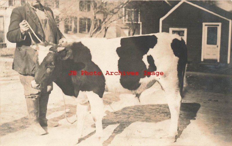 Unknown Location, RPPC, Farmer Holding a Young Holstein Bull by a Rope