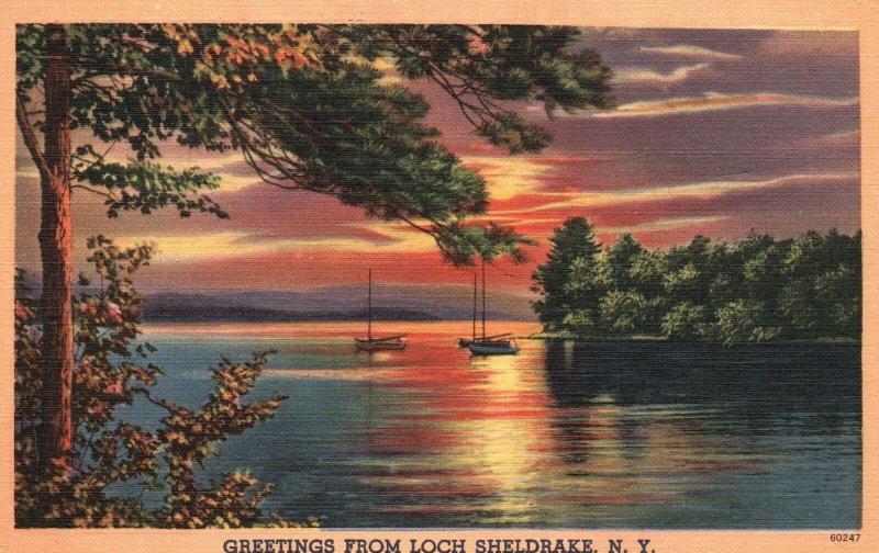 Vintage Postcard 1930's Greetings from Loch Sheldrake Hamlet New York State NY