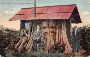 Cedar Stump Cabin Washington 1909 postcard