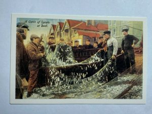 NOSTALGIA REPRODUCTION POSTCARD - CATCH OF SPRATS AT DEAL 1915   (KK1577)