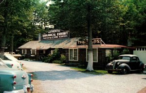 1950s Roadside Attraction Petrified Creatures Warren NY Postcard New York