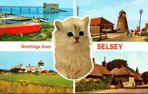 England Greetings From Selsey Multi View