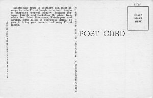 The Parrot jungle Miami, Florida USA The Parrot jungle Miami, Florida USA