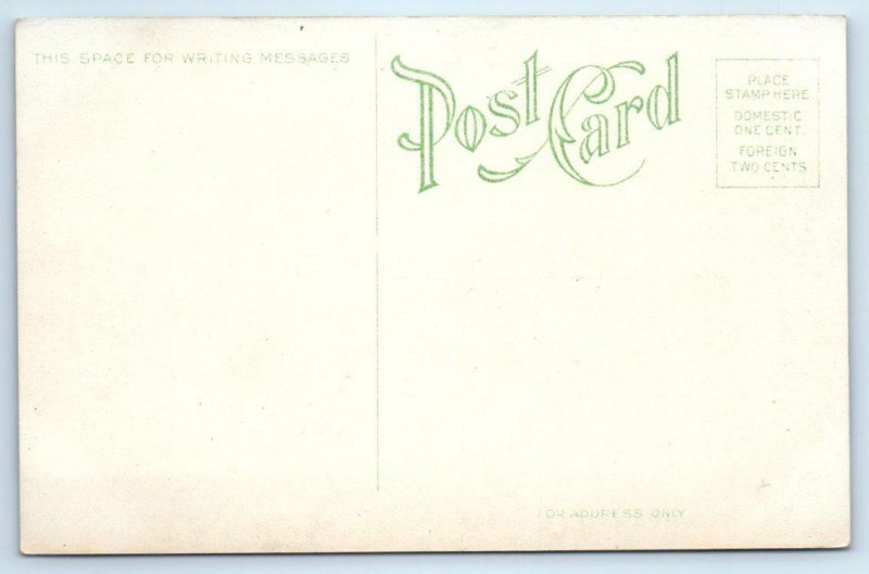 CEDAR RAPIDS, Iowa IA~ Street Scene CEDAR RAPIDS BUSINESS COLLEGE 1910s Postcard