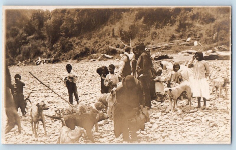 New Zealand Postcard RPPC Photo Maori Tribe Dogs Scene c1910's Unposted Antique