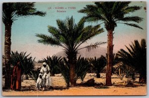 Vtg Religious Scenes Et Types Palmiers Palm Trees 1910s Postcard