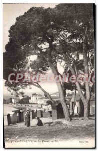 Old Postcard Juan Les Pins Pinede