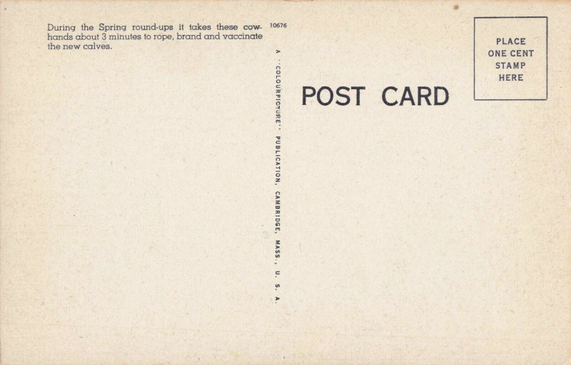 Postcard Branding Time on the Ranch