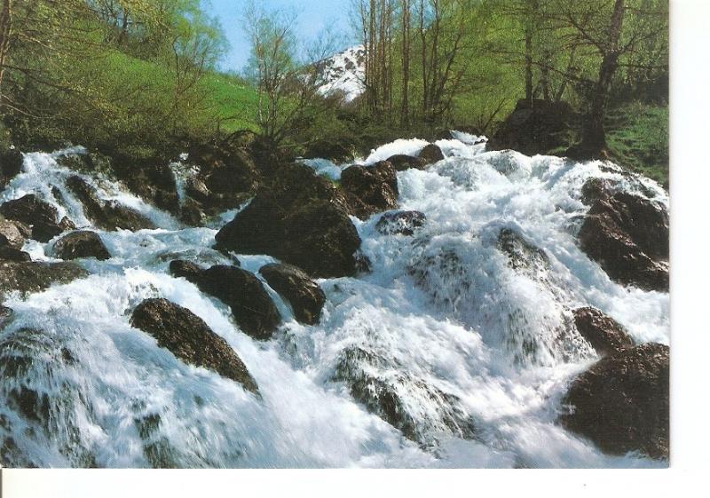 Postal 042954 : Andorra. El Serrat. Cascada del Valira