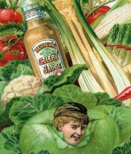 1880s-90s F&J Heinz's Celery Sauce Preserves & Jellies #5F