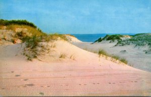 Massachusetts Cap0e Cod Sand Dunes