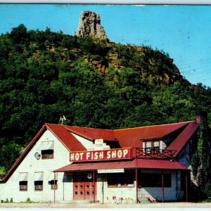 c1950s Winona, Minn. Hot Fish Shop Restaurant Postcard Sugar Loaf Hill A41