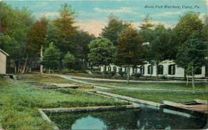 Corry Pennsylvania Fish Hatchery Kirby C-1910 Postcard 20-4153