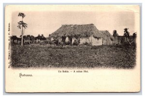 A Cuban Grass Hut Havana Cuba UNP UDB Postcard B19