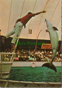 Germany Postcard - Duisburger Tierpark - Delphin-Schau / Dolphin Show RR11002