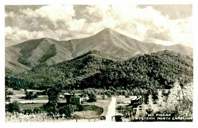 ca 1920 Postcard Historic RPPC Postcard Mt Pisgah North Carolina Farmland Road