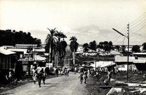 cameroon, VICTORIA LIMBÉ, Palm Avenue (1960s) Postcard